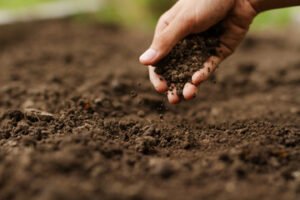 care of soil 